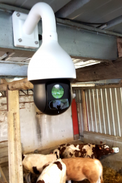 camera video surveillance agricole motorisee ptz 360°